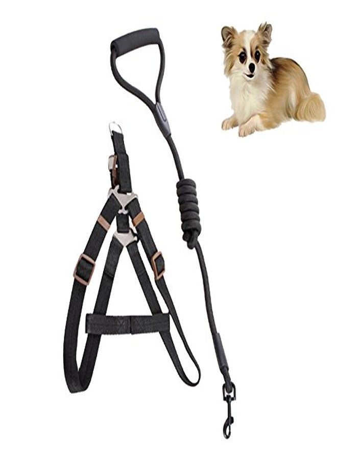 Futaba Pet Harness Collar and Leash Rope Belt Set - Black - Small - Image 1